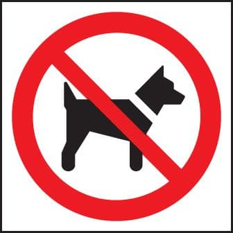 13602F No dogs (symbol) Rigid Plastic (200x200mm) Safety Sign