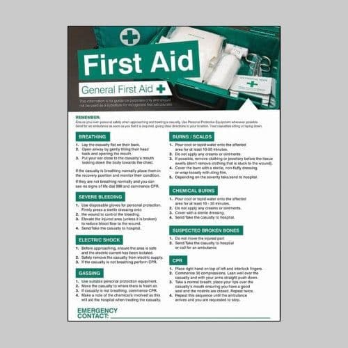 55901 First aid workplace 420x594mm poster  (420x594mm) Safety Sign