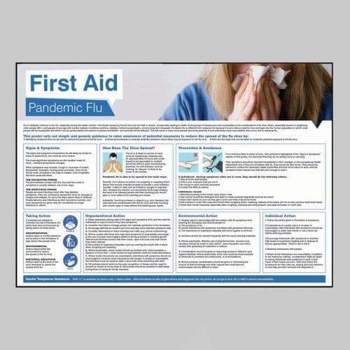 58138 Pandemic Flu Poster 594x420mm synthetic paper  (594x420mm) Safety Sign