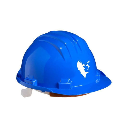NPORS Basic Safety Helmet
